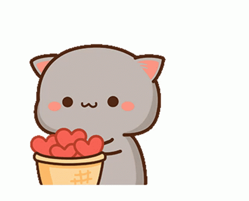 Image de chat